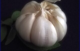 "garlic" by GeorgeTan#1...INACTIVE NOW is marked with Public Domain Mark 1.0.