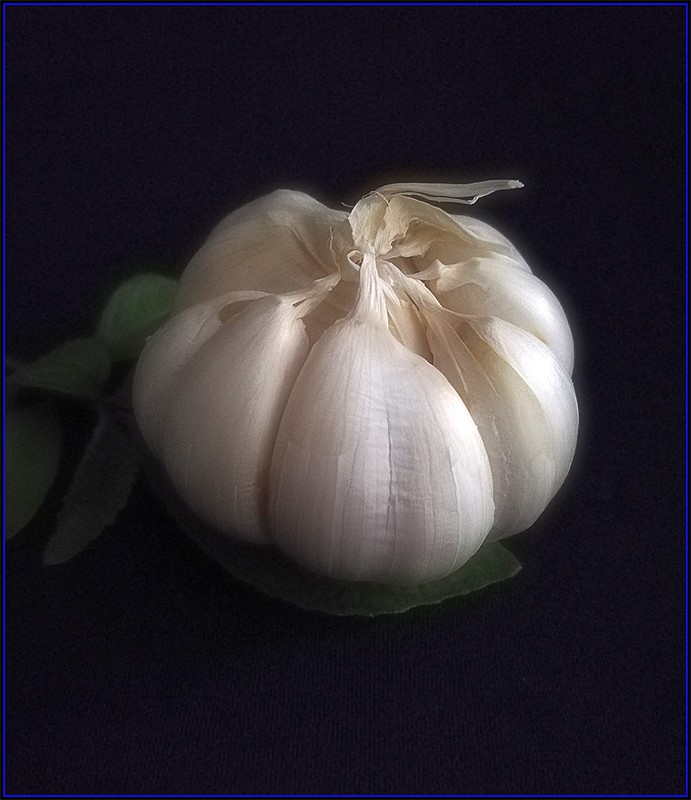 "garlic" by GeorgeTan#1...INACTIVE NOW is marked with Public Domain Mark 1.0.